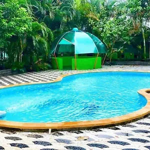 book here